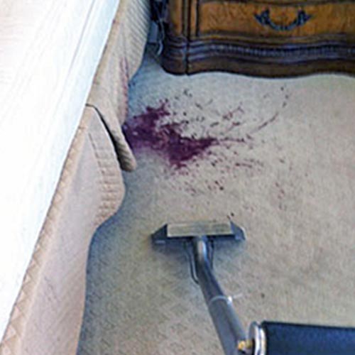 Carpet Cleaning