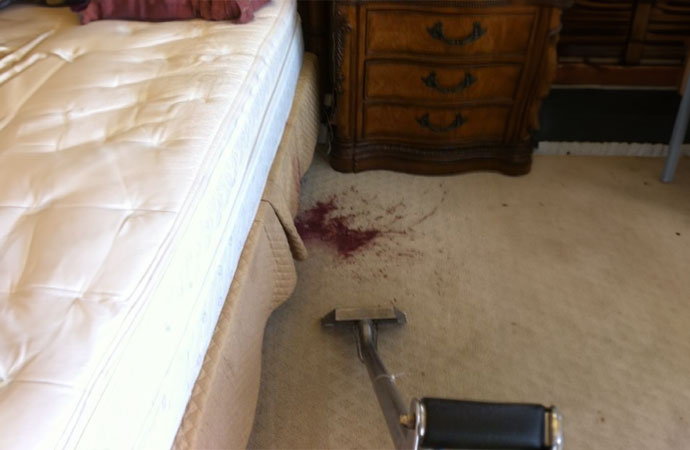 Carpet Stain Removal in DFW | Tough Spill Treatment Now