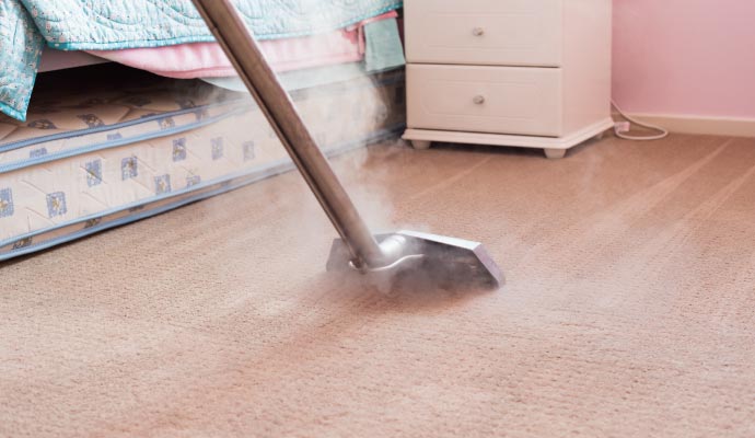 Carpet steam cleaning service