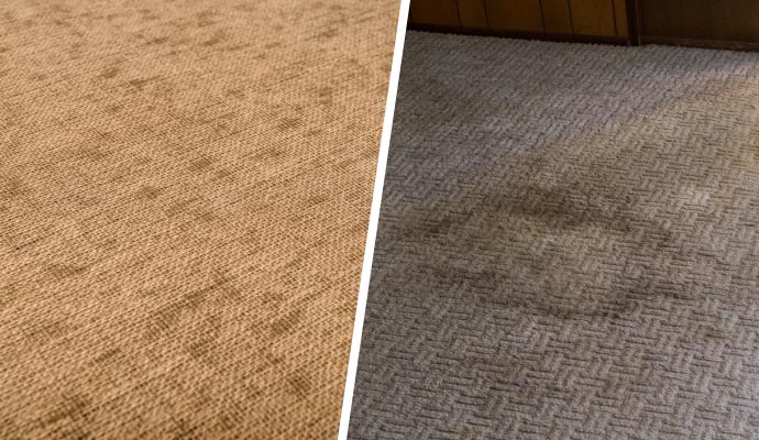 Collage of mold and mildew on carpet showing damage.