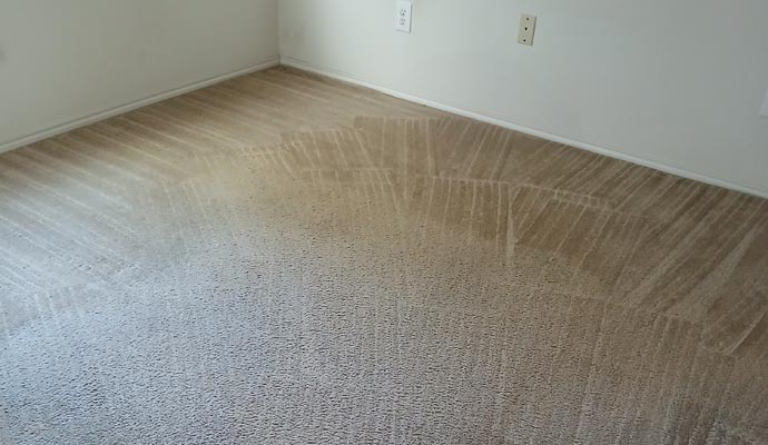 Fresh carpet