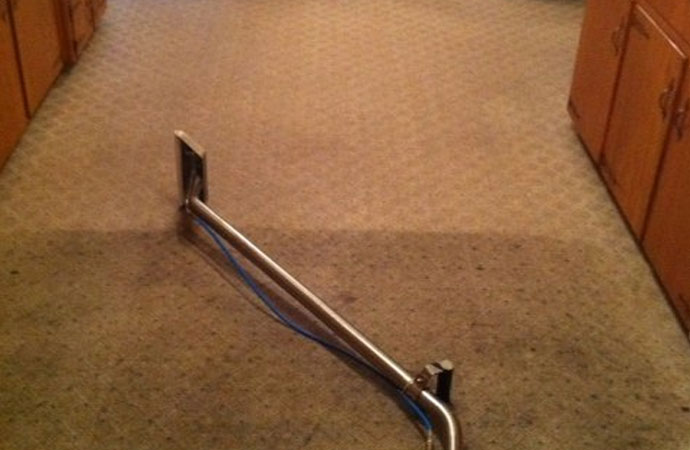 Professional carpet cleaning service