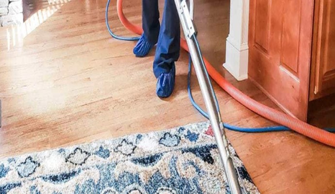 Area rug cleaning