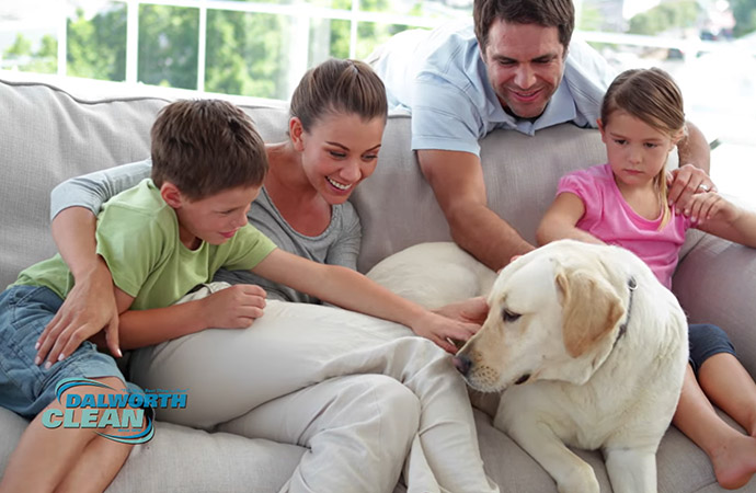 Pet Odor Removal Thumb Image