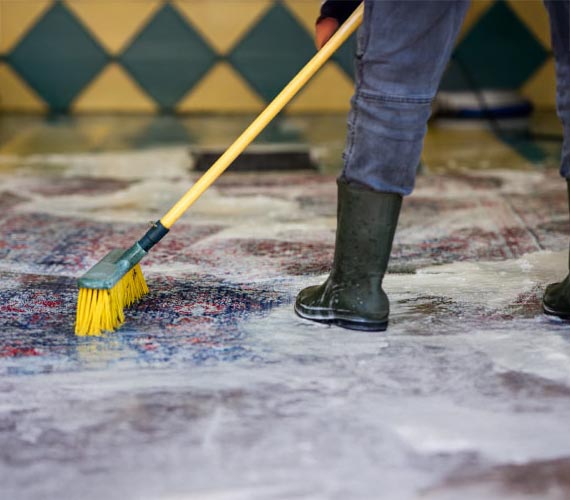 Professional rug cleaning