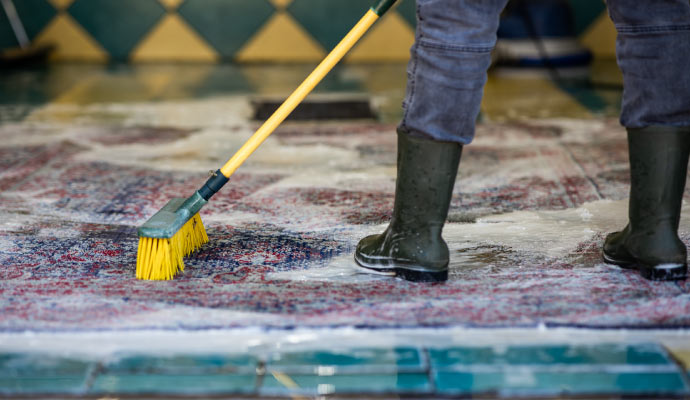 Person cleaning rug with equipment