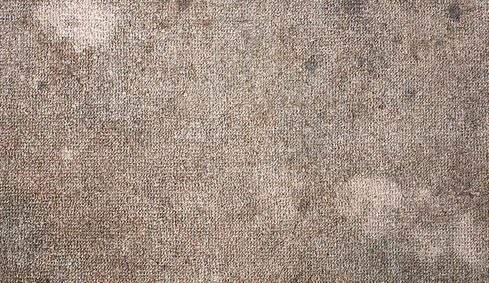 Dirty and mold carpet spots