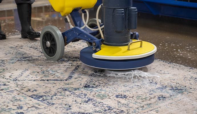 Professional rug cleaning service
