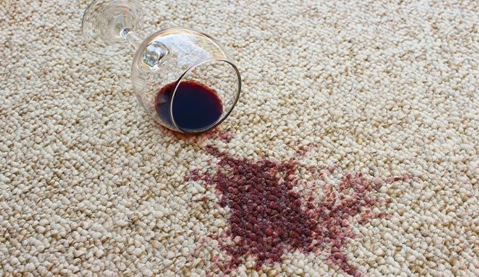 Carpet Stain Protection Services in Dallas-Fort Worth