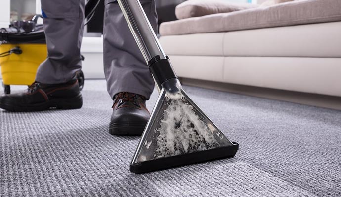 Professional worker cleaning carpet in a living room beside a sofa